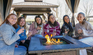 Old York Cellars Vintner's Club