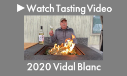 2020 Vidal Blanc Wine Tasting Video