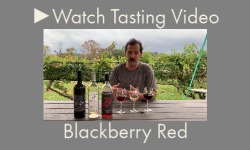 Sweet Blackberry Red Wine Tasting Video