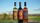 Deutscher Club of Clark Six Bottle Wine Collection - View 4