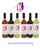 New Jersey Pride Chamber of Commerce 6 Bottle Wine Collection - View 1