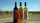 New York Tuskegee Alumni Association Three Bottle Wine Collection - View 3