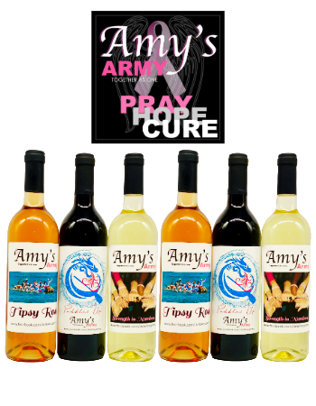 Amy's Army Six Bottle Wine Collection