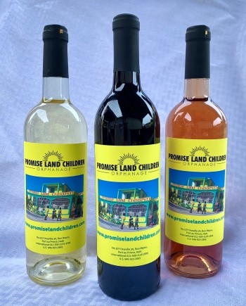 Promise Land Children Three Bottle Wine Collection
