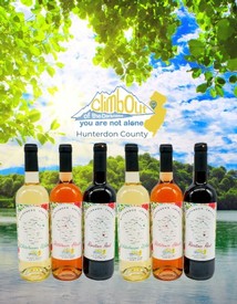 Climb Out of The Darkness Hunterdon County Six Bottle Collection