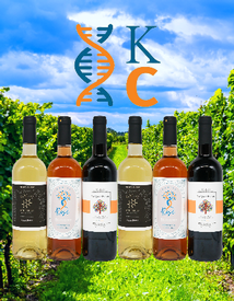 KrabbeConnect Six Bottle Wine Collection