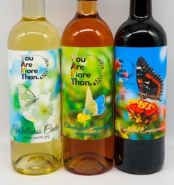 You Are More Than Three Bottle Wine Collection