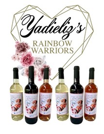 Yadieliz's Rainbow Warriors Six Bottle Collection