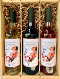 Yadieliz's Rainbow Warriors Wine Collection with Gift Box